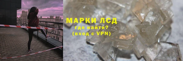 ПСИЛОЦИБИНОВЫЕ ГРИБЫ Осинники