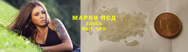 ПСИЛОЦИБИНОВЫЕ ГРИБЫ Осинники