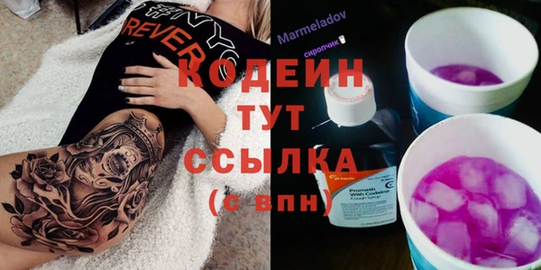 ПСИЛОЦИБИНОВЫЕ ГРИБЫ Осинники