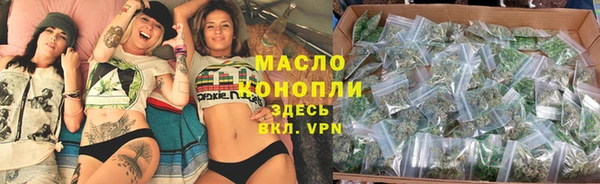 МДПВ Ветлуга