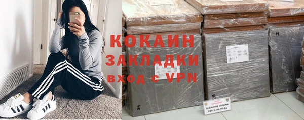 ПСИЛОЦИБИНОВЫЕ ГРИБЫ Осинники