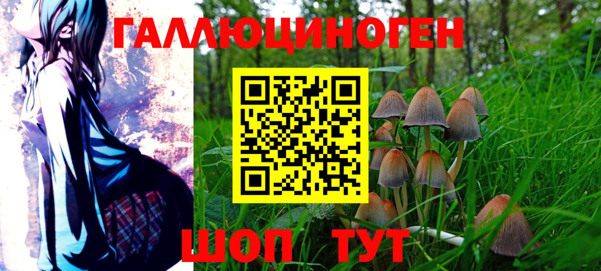 Псилоцибиновые грибы прущие грибы Новосибирск