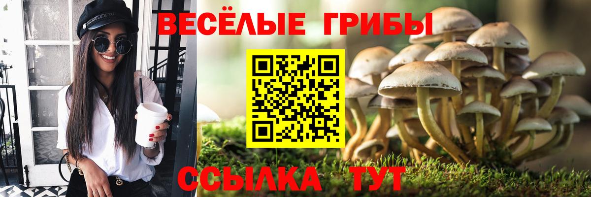 что такое   Псилоцибиновые грибы Magic Shrooms  Новосибирск  Псилоцибиновые грибы прущие грибы 