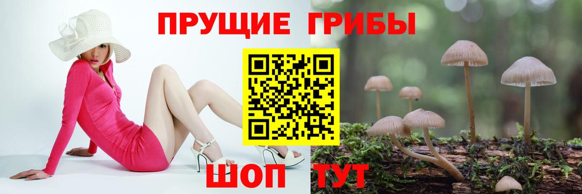 Новосибирск  Псилоцибиновые грибы Cubensis  Вход с VPN  Псилоцибиновые грибы MAGIC MUSHROOMS 